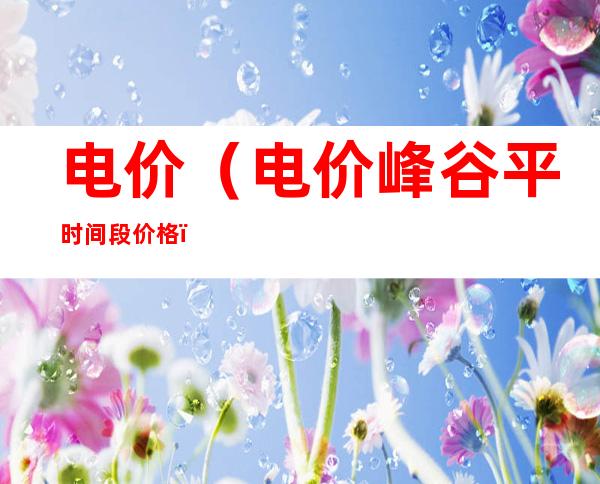 电价(电价峰谷平时间段价格)