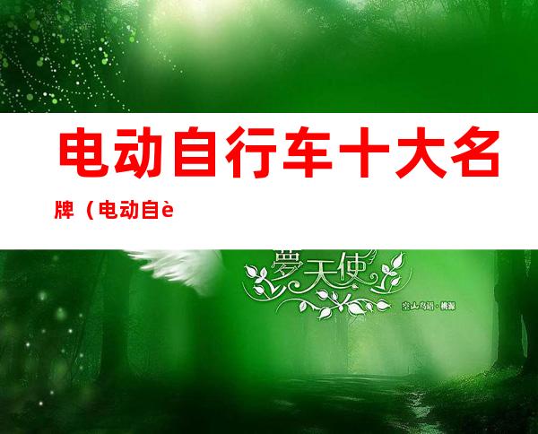 电动自行车十大名牌（电动自行车哪个牌子最好质量最好）