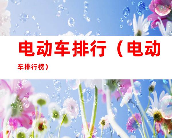 电动车排行(电动车排行榜)
