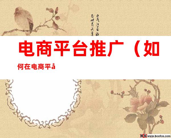 电商平台推广(如何在电商平台推广)
