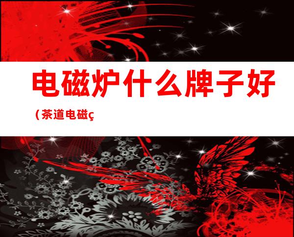 电磁炉什么牌子好(茶道电磁炉什么牌子好)