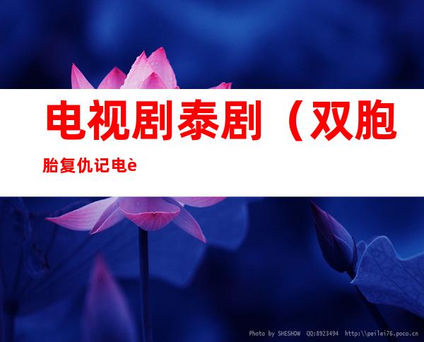 电视剧泰剧(双胞胎复仇记电视剧泰剧)