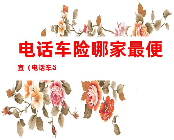 电话车险哪家最便宜（电话车保险是不是便宜点）