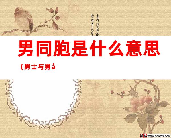 男同胞是什么意思（男士与男同胞有什么区别）