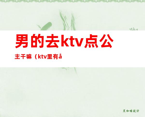 男的去ktv点公主干嘛（ktv里有公主吗）