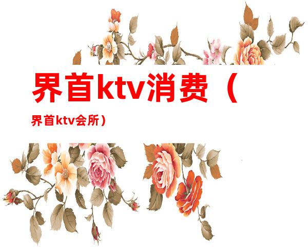 界首ktv消费(界首ktv会所)