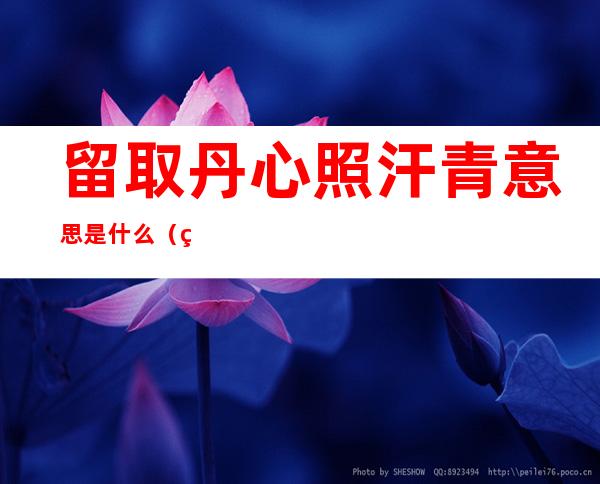 留取丹心照汗青意思是什么(留取丹心照汗青指的是什么意思)