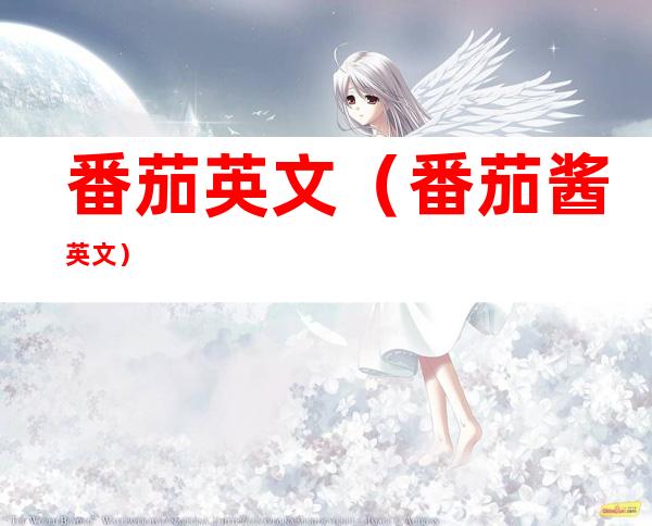 番茄英文(番茄酱英文)
