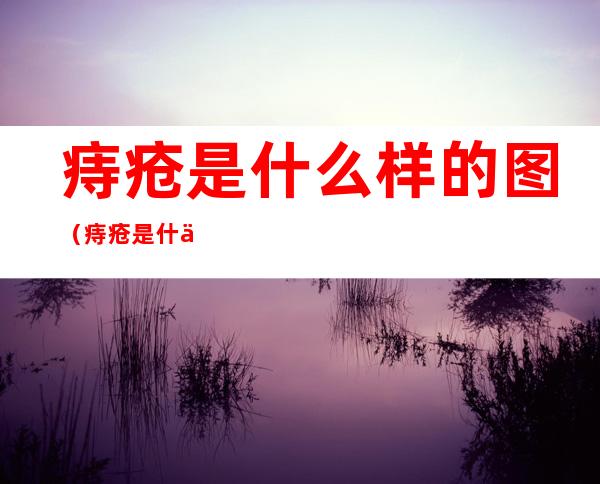 痔疮是什么样的图（痔疮是什么样的图片和症状）