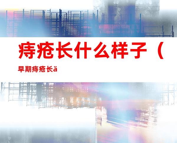 痔疮长什么样子(早期痔疮长什么样子)