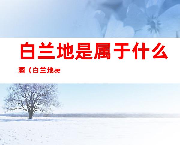 白兰地是属于什么酒（白兰地是属于什么酒?知名人士都偏爱TA）