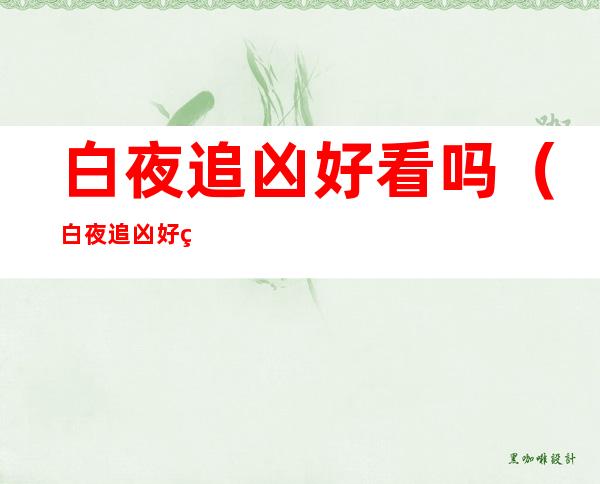 白夜追凶好看吗(白夜追凶好看吗和无心法师)
