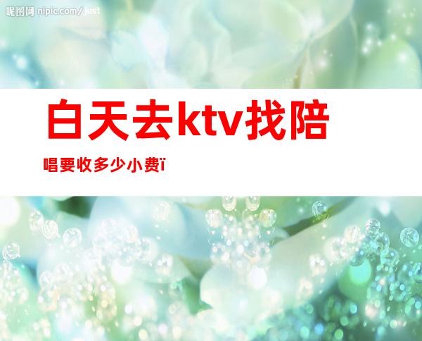 白天去ktv找陪唱要收多少小费(ktv陪唱怎么收费的)