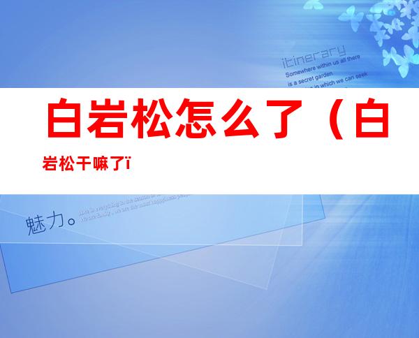 白岩松怎么了(白岩松干嘛了)