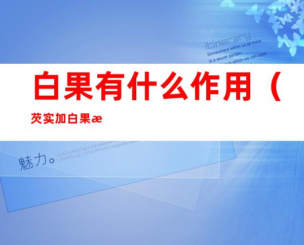 白果有什么作用(芡实加白果有什么作用)