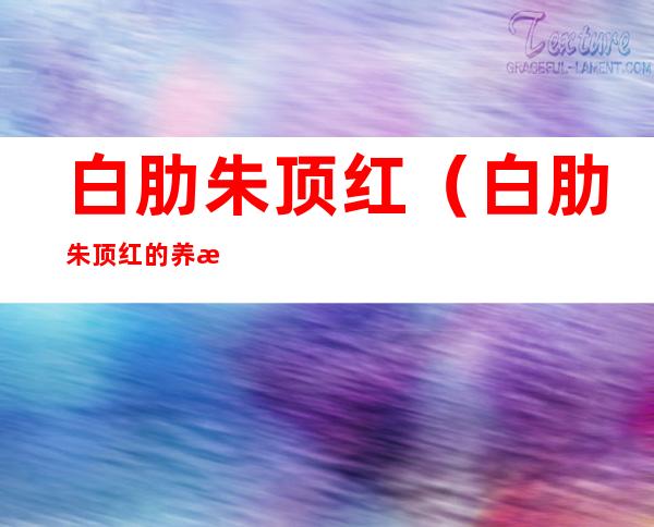 白肋朱顶红（白肋朱顶红的养殖方法和注意事项）