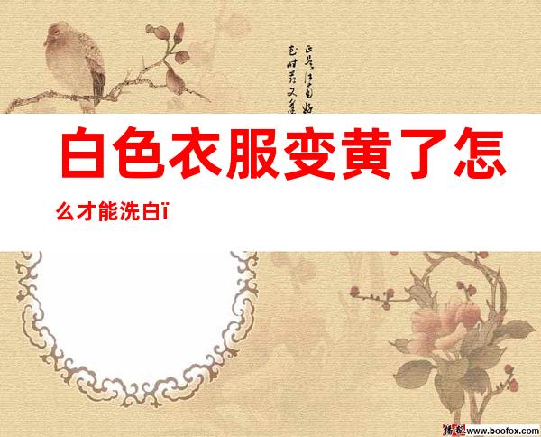 白色衣服变黄了怎么才能洗白（白色衣服发黄了怎么样才能洗白）