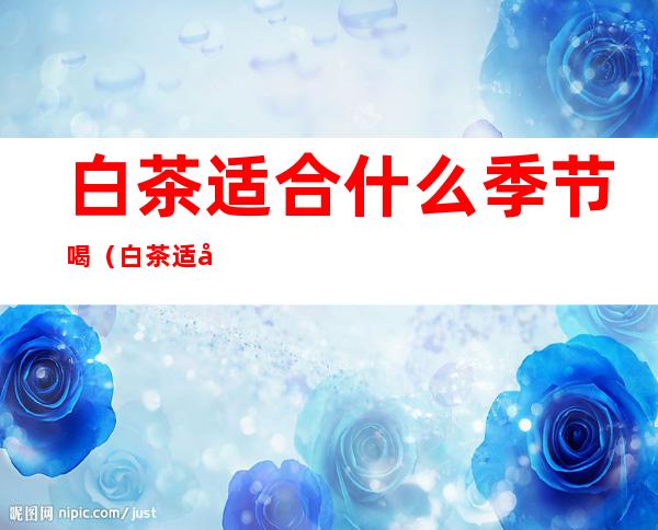 白茶适合什么季节喝(白茶适合在哪个季节喝)