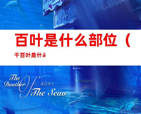 百叶是什么部位(千百叶是什么部位的?)