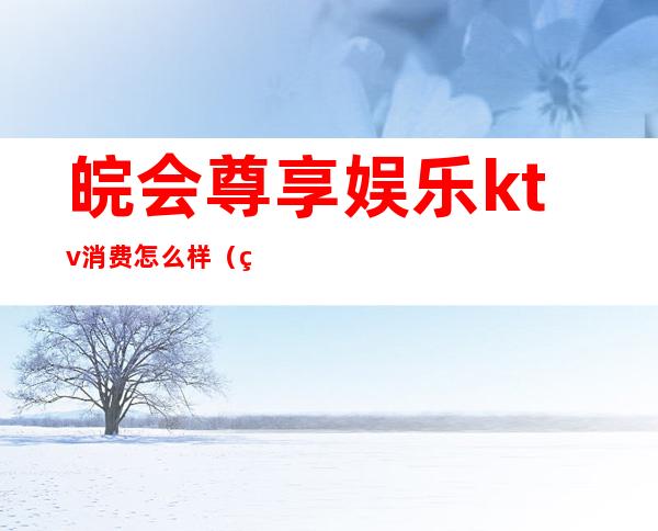 皖会尊享娱乐ktv消费怎么样(皖会尊享娱乐KTV)