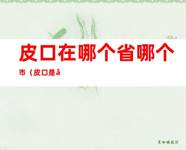皮口在哪个省哪个市(皮口是县吗)