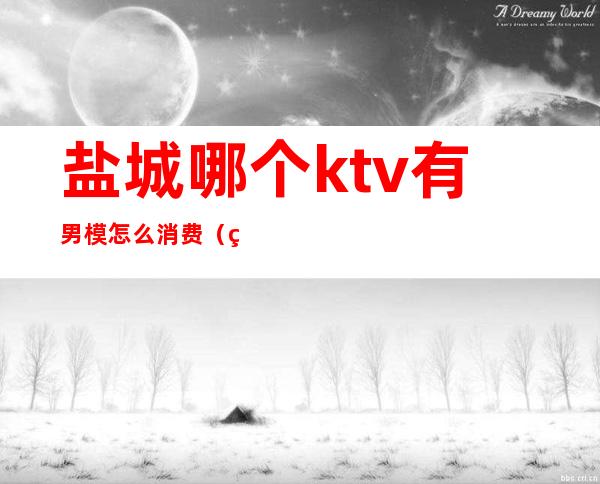 盐城哪个ktv有男模怎么消费（盐城哪个ktv有男模 怎么消费）