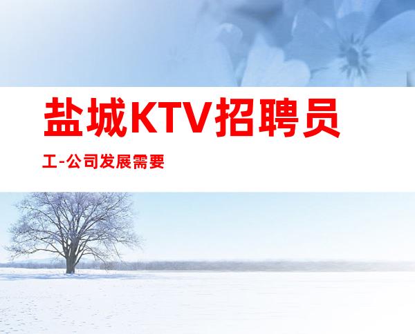 盐城KTV招聘员工-公司发展需要
