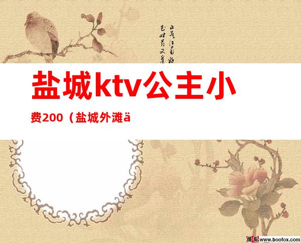 盐城ktv公主小费200(盐城外滩一号ktv公主)