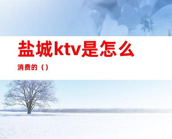 盐城ktv是怎么消费的（）