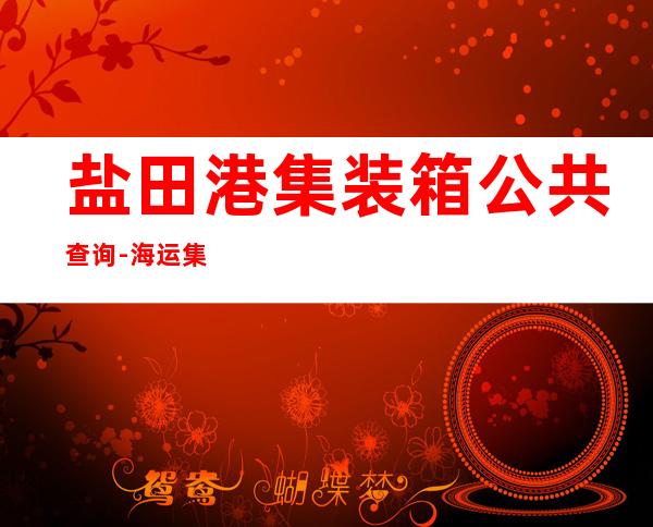 盐田港集装箱公共查询-海运集装箱怎么查询