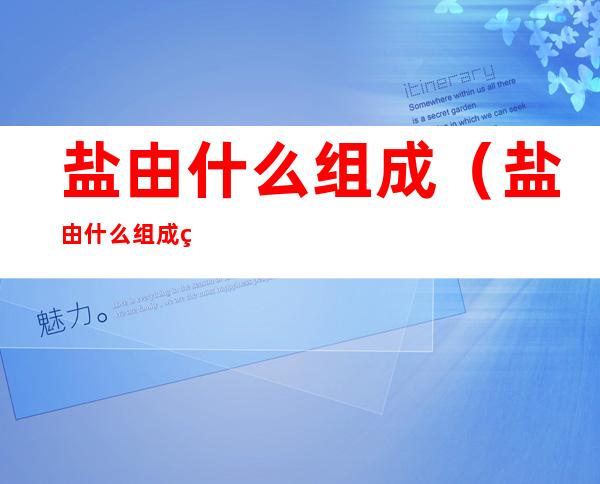 盐由什么组成(盐由什么组成由什么构成)
