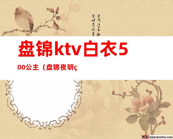 盘锦ktv白衣500公主(盘锦夜明珠ktv公主怎么样)