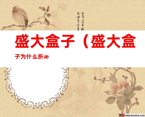 盛大盒子(盛大盒子为什么折戟沉沙)
