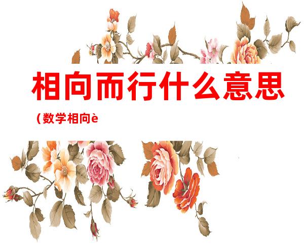 相向而行什么意思(数学相向而行什么意思)