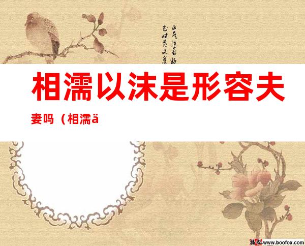 相濡以沫是形容夫妻吗(相濡以沫是形容夫妻吗最早的内涵段子)