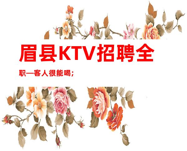 眉县KTV招聘全职—客人很能喝;酒吗—160以上
