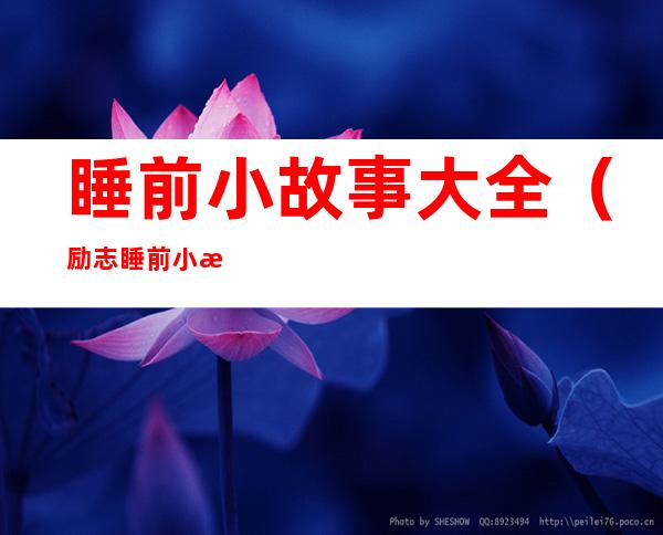 睡前小故事大全(励志睡前小故事大全)