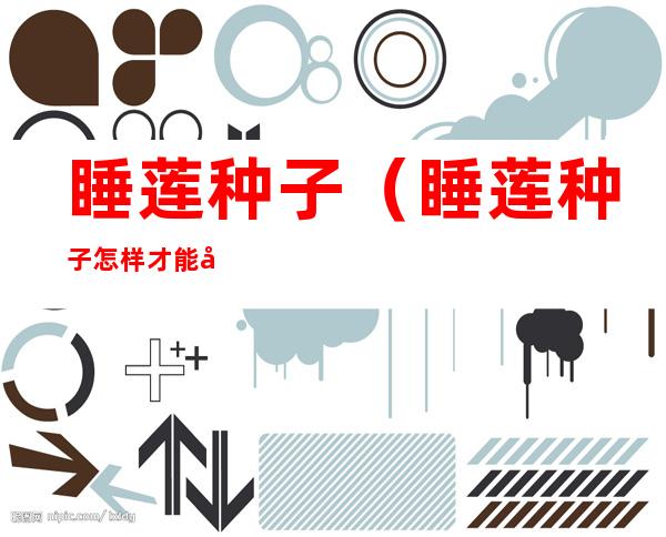 睡莲种子（睡莲种子怎样才能发芽）