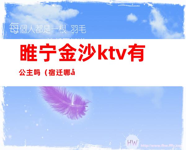 睢宁金沙ktv有公主吗(宿迁哪家ktv有公主)