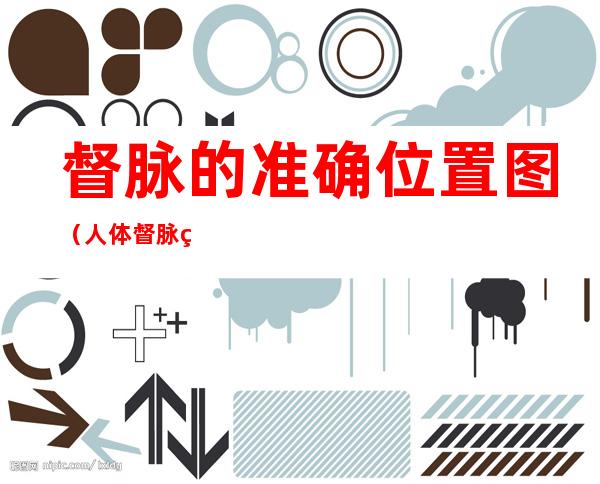 督脉的准确位置图(人体督脉的准确位置图)