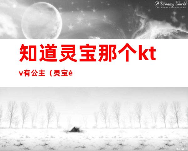 知道灵宝那个ktv有公主(灵宝风情园KTV)