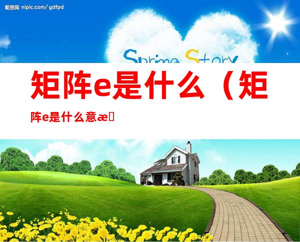 矩阵e是什么（矩阵e是什么意思）