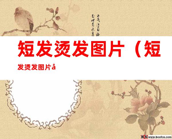 短发烫发图片(短发烫发图片女2022最新款)