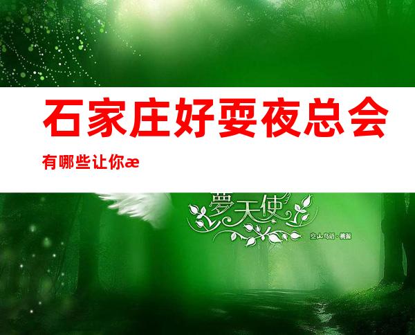 石家庄好耍夜总会有哪些 让你每晚精彩不断!