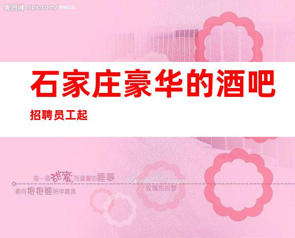 石家庄豪华的酒吧招聘员工起