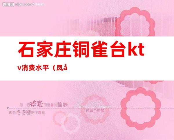 石家庄铜雀台ktv消费水平(凤台铜雀台ktv有什么特色)