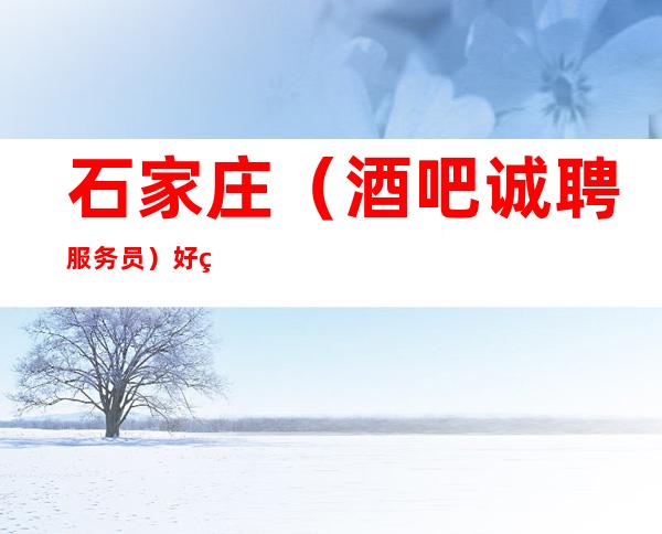 石家庄(酒吧诚聘服务员)好的酒吧赚多