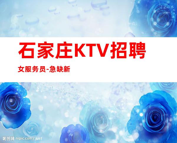 石家庄KTV招聘女服务员- 急缺新女孩加入当天上班