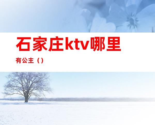 石家庄ktv哪里有公主()