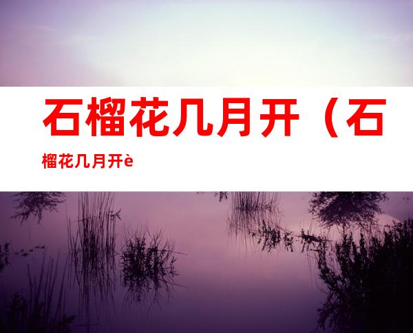 石榴花几月开(石榴花几月开花怎么养殖方法)